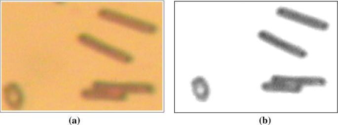 methodology for analysis of images figure 46