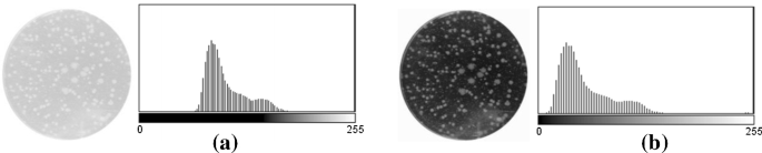 methodology for analysis of images figure 47