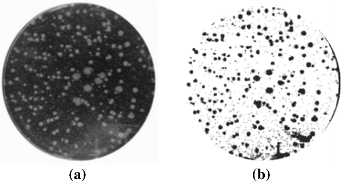 methodology for analysis of images figure 48