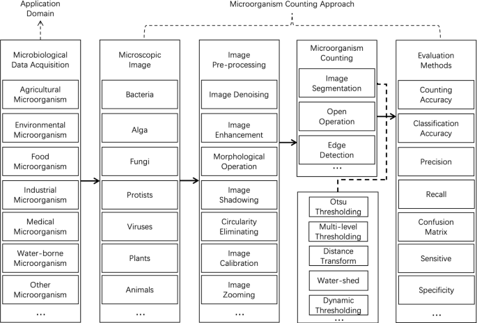 methodology for analysis of images figure 4