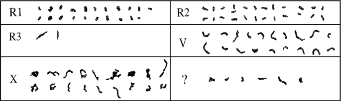 methodology for analysis of images figure 52