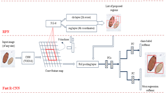 figure 36