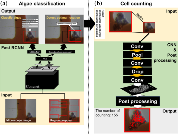 figure 39