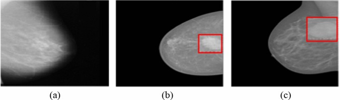 medical imaging research paper figure 3