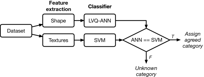 Vision-based techniques for automatic marine plankton