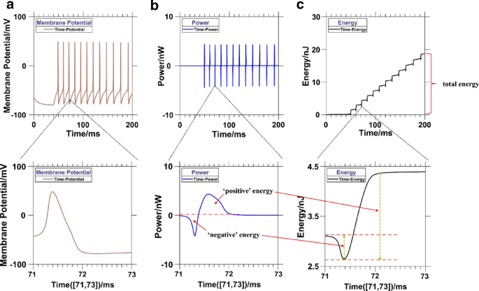 brain waves associated with information processing or problem solving are figure 26