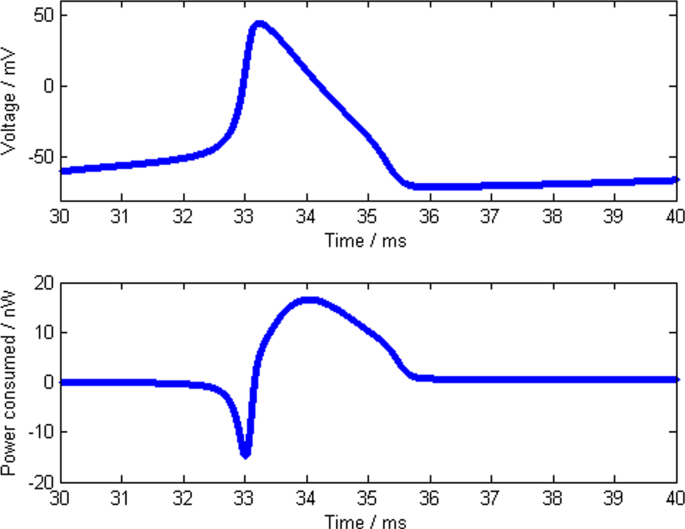brain waves associated with information processing or problem solving are figure 4