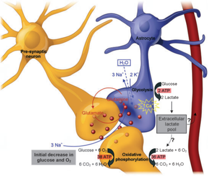 brain waves associated with information processing or problem solving are figure 5