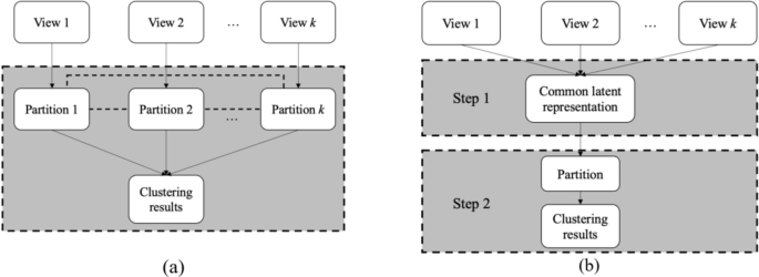 Dual representation learning for one-step clustering of multi-view data ...