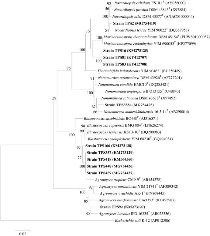 Selective isolation and characterisation of novel members of the 