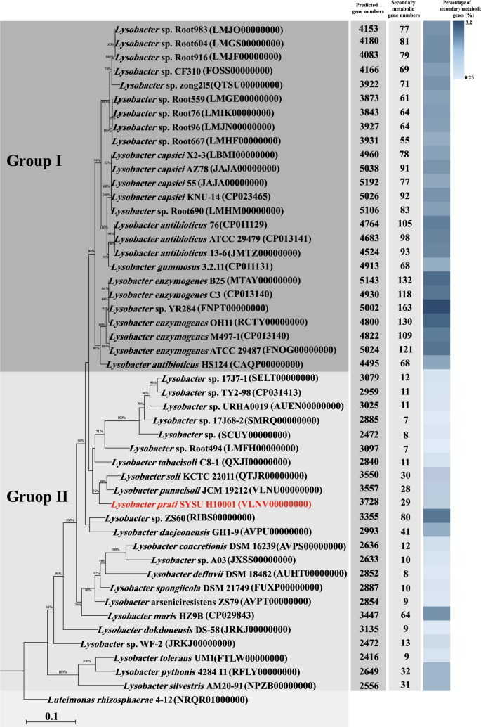 Lysobacter Prati Sp Nov Isolated From A Plateau Meadow Sample Springerlink