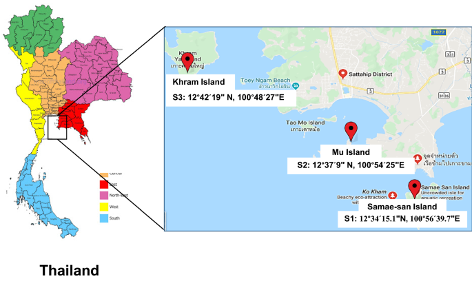 Dat Zip Zone Map Cultivable Yeasts Associated With Marine Sponges In The Gulf Of Thailand,  South China Sea | Springerlink