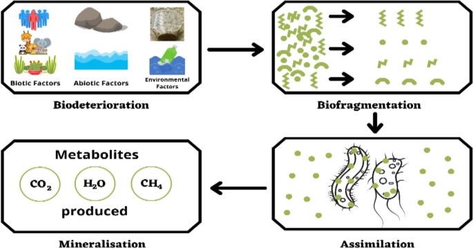 A review on microbial-biofilm mediated mechanisms in marine ...