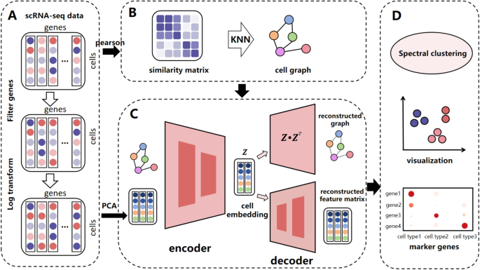 Graph attention autoencoder model with dual decoder for clustering ...