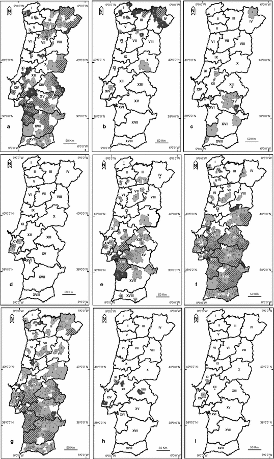 Mapa portugal com regiões e concelhos, distritos Stock Vector