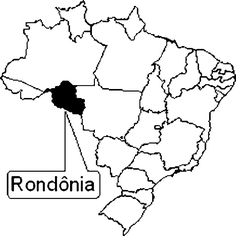 New tick records from the state of Rondônia, western Amazon, Brazil |  SpringerLink