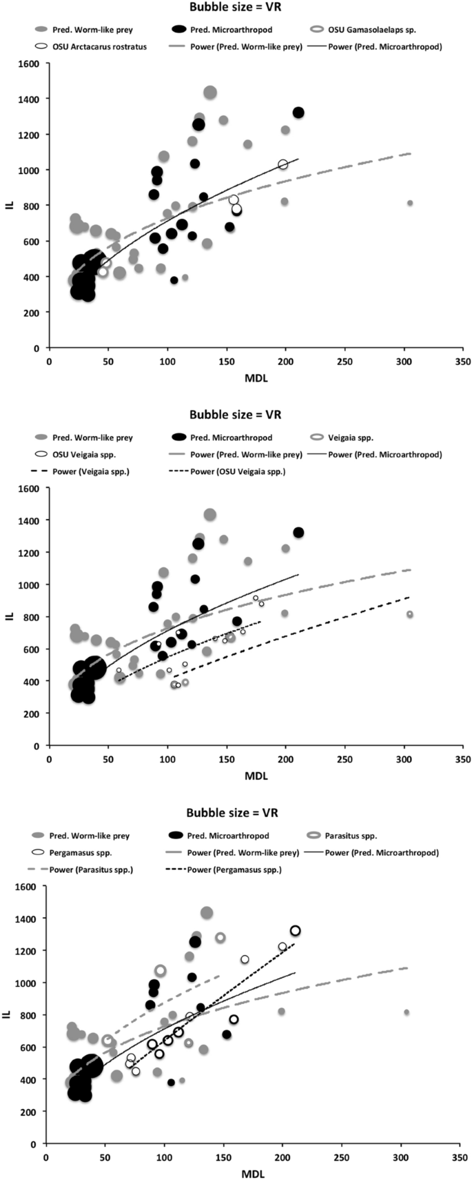 Feeding design in free-living mesostigmatid chelicerae (Acari:  Anactinotrichida) | Experimental and Applied Acarology | Springer Nature  Link