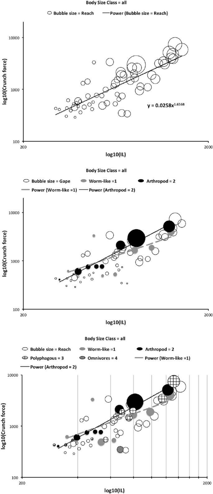 Feeding Design In Free Living Mesostigmatid Chelicerae Acari Anactinotrichida Springerlink