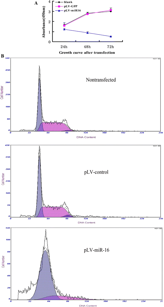 Effects Of Upregulated Expression Of Microrna 16 On Biological Properties Of Culture Activated Hepatic Stellate Cells Springerlink