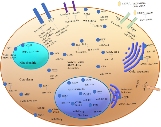 A Cell Type Selective YM155 Prodrug Targets Receptor-Interacting Protein  Kinase 2 to Induce Brain Cancer Cell Death