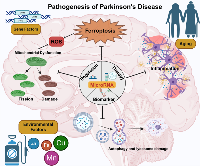 bpc 157 fatty liver PDF) Over-dose insulin and stable gastric pentadecapeptide BPC 157.  Attenuated gastric ulcers, seizures, brain lesions, hepatomegaly, fatty  liver, breakdown of liver glycogen, profound hypoglycemia and calcification  in rats