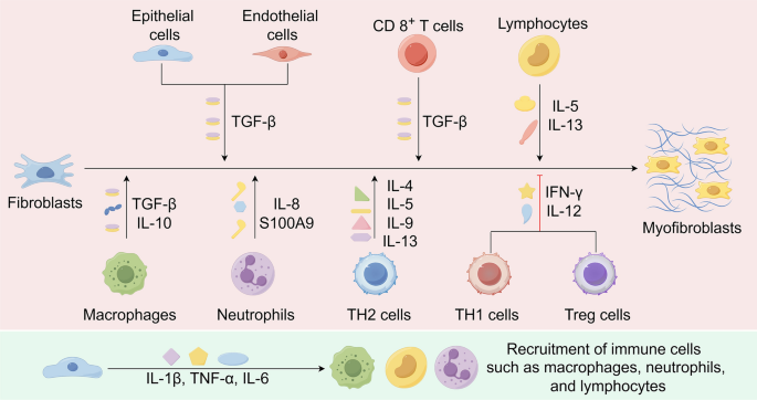 Monocyte-mediated mechanisms in idiopathic pulmonary fibrosis ...