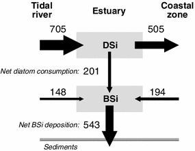 Silica Mass Balance And Retention In The Riverine And Estuarine Scheldt Tidal System Belgium The Netherlands Springerlink