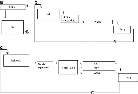 Indoor Aquaponics System Drawing