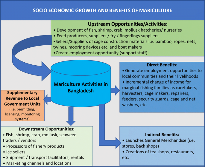 The Role of Agro And Feed Industries in Bangladesh’s Economic Growth: A Key Driver