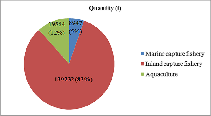 Real-time fisheries data: a big catch for Ugandan lakes