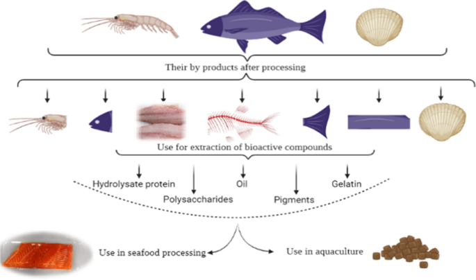 Insights into fishery by-product application in aquatic feed and