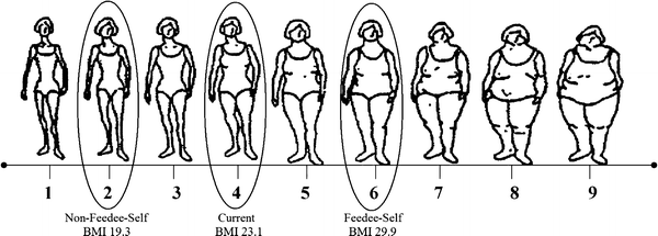 Feederism In A Woman Springerlink