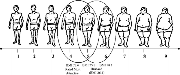 Feederism In A Woman Springerlink