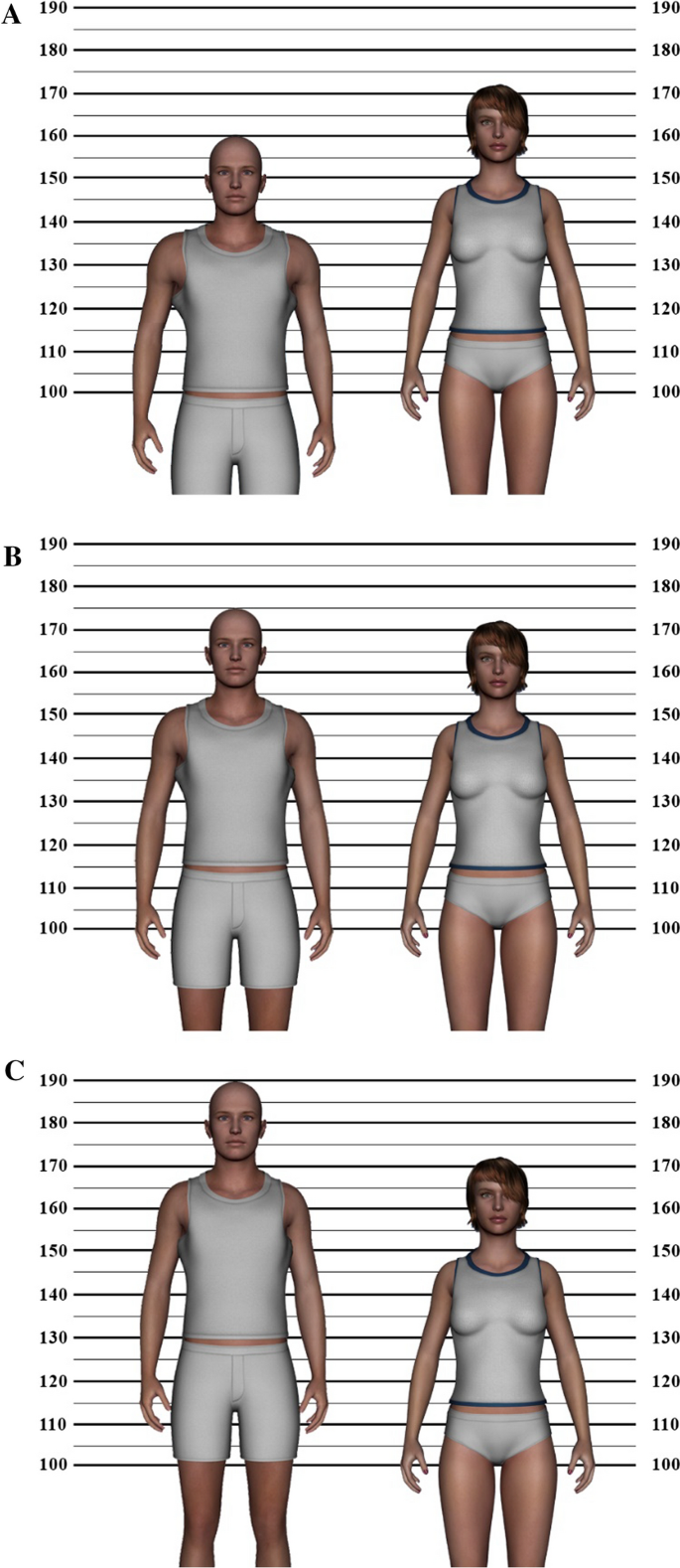 Are broad shoulders more important than Height for attractiveness