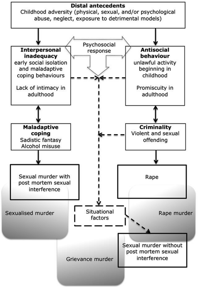 Developmental Antecedents to Rape and Sexual Homicide: Validation of ...