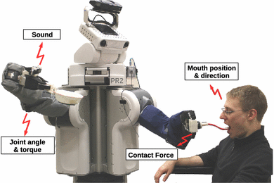 physically assistive robots