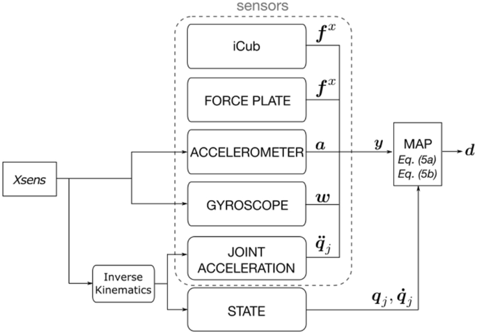 Towards Real Time Whole Body Human Dynamics Estimation