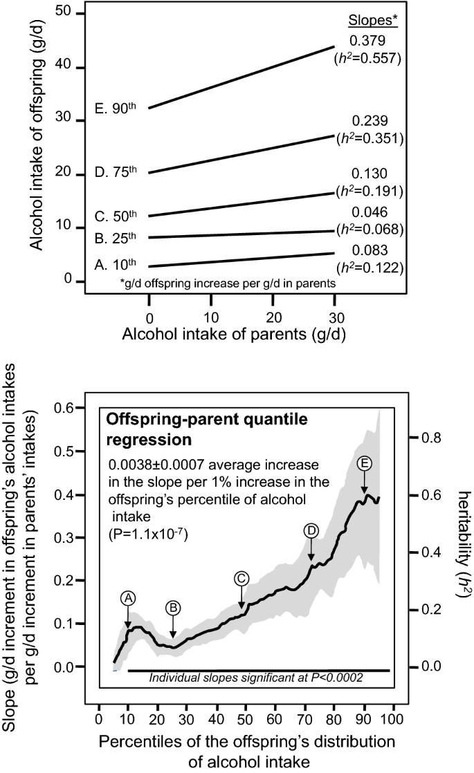 Quantile-Specific Heritability of Intakes of Alcohol but not Other  Macronutrients | SpringerLink