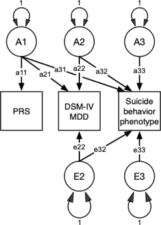Mdd Suicidal Risk Score Genetic Overlap Between DSM-IV Major Depressive Disorder and Suicidal ...