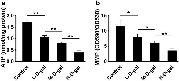 D Galactose Induced Oxidative Stress And Mitochondrial Dysfunction In The Cochlear Basilar Membrane An In Vitro Aging Model Springerlink