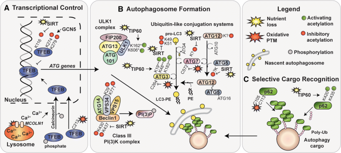 figure2