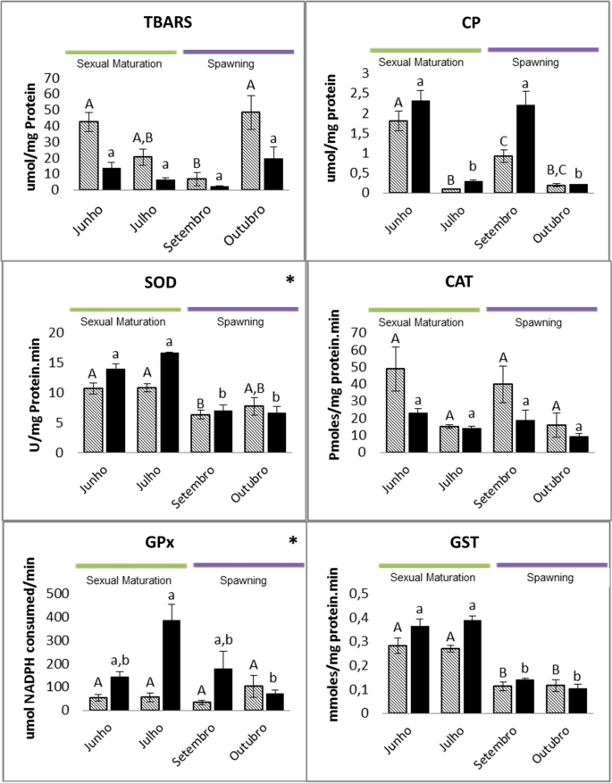 Biomarkers Of Oxidative Stress In The Post Embryonic Characterization Of The Neotropical Annual Killifish Springerlink Biomarkers Of Oxidative Stress In The Post Embryonic Characterization Of The Neotropical Annual Killifish Springerlink