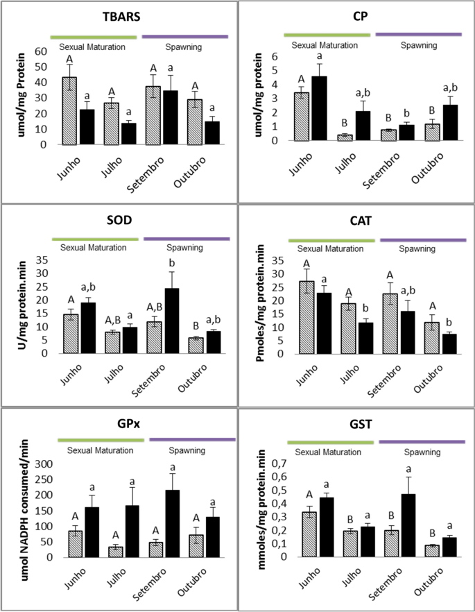 Biomarkers Of Oxidative Stress In The Post Embryonic Characterization Of The Neotropical Annual Killifish Springerlink Biomarkers Of Oxidative Stress In The Post Embryonic Characterization Of The Neotropical Annual Killifish Springerlink
