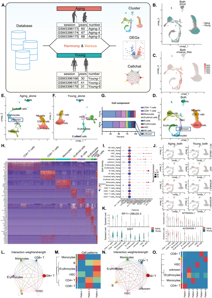 Integrated single-cell multi-omics profiling reveals a senescence ...