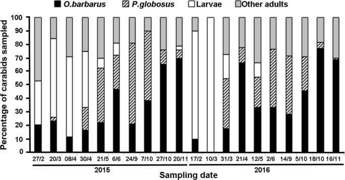 Effect Of Local And Landscape Factors On Abundance Of Ground Beetles And Assessment Of Their Role As Biocontrol Agents In The Olive Growing Area Of Southeastern Madrid Spain Springerlink