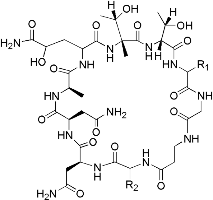 Non Lipopeptide Fungi Derived Peptide Antibiotics Developed Since 00 Springerlink