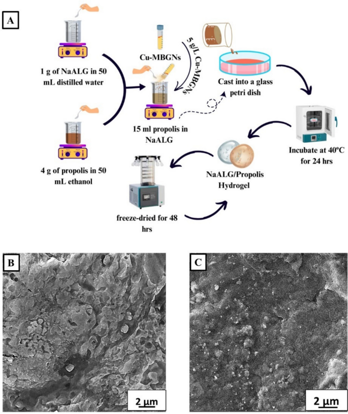 Propolis enhanced sodium alginate hydrogel enriched with copper doped ...
