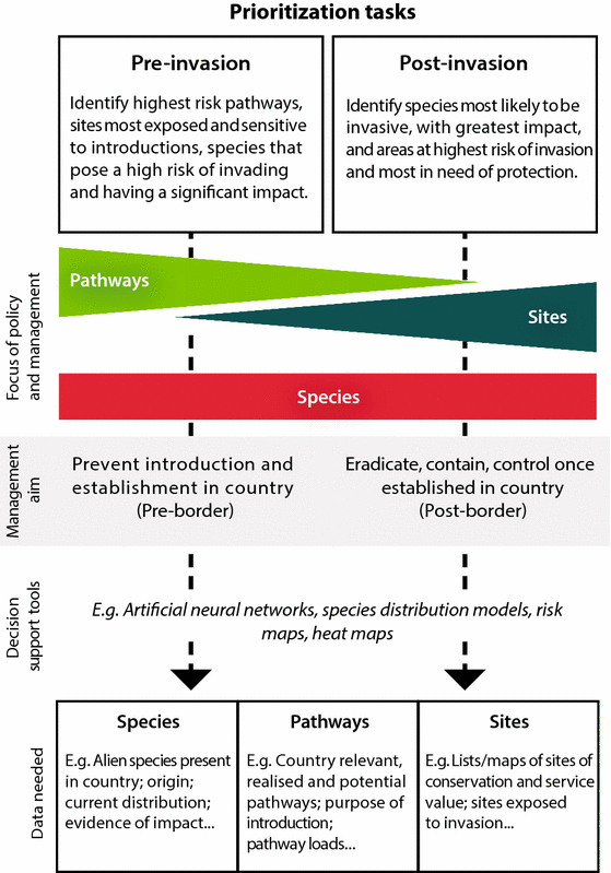 Elektriker Begivenhed støn Prioritizing species, pathways, and sites to achieve conservation targets  for biological invasion | SpringerLink