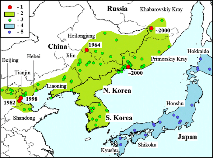 a map of the emerald ash borers natural habitat in asia. it spans from a small portion in russia to shandong china. Its also on all of mainland japan.