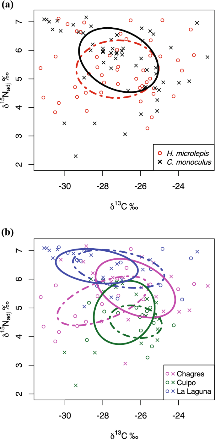 Trophic shifts in a native predator following the introduction of a top  predator in a tropical lake | SpringerLink